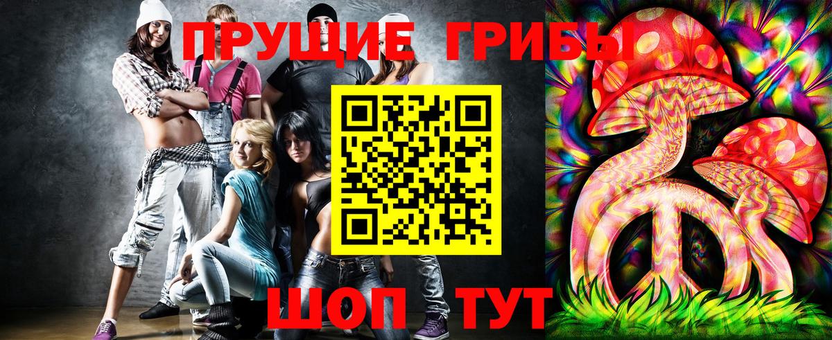 Псилоцибиновые грибы Psilocybine cubensis  Вход с VPN  Балашов 